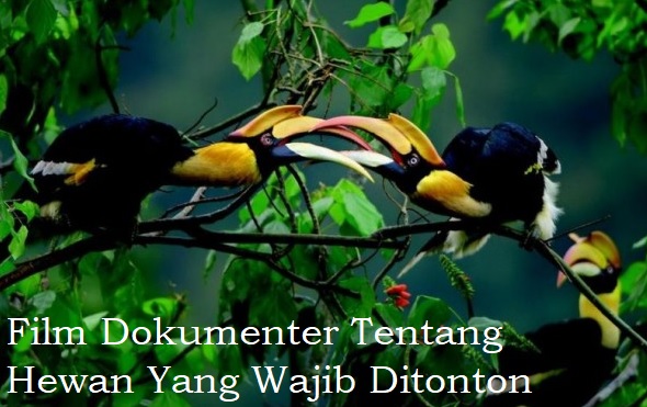 Film Dokumenter Tentang Hewan Yang Wajib Ditonton
